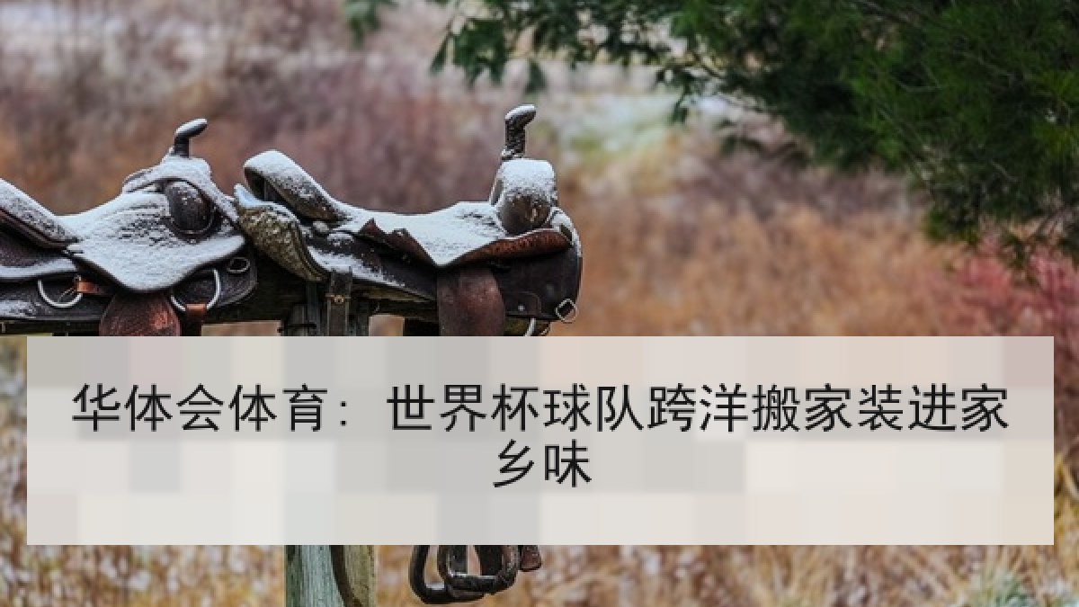 华体会体育: 世界杯球队跨洋搬家装进家乡味